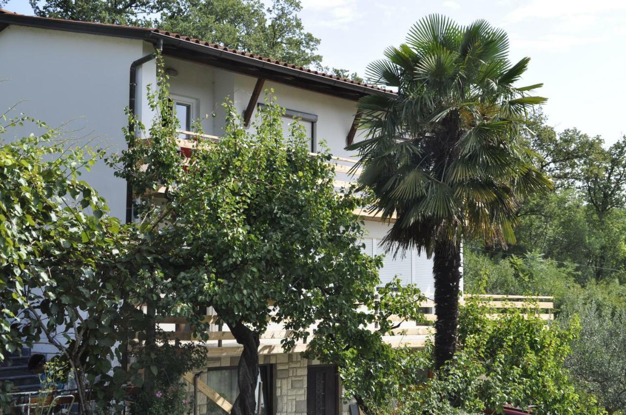 Apartma Bajci Ajdovscina Ngoại thất bức ảnh
