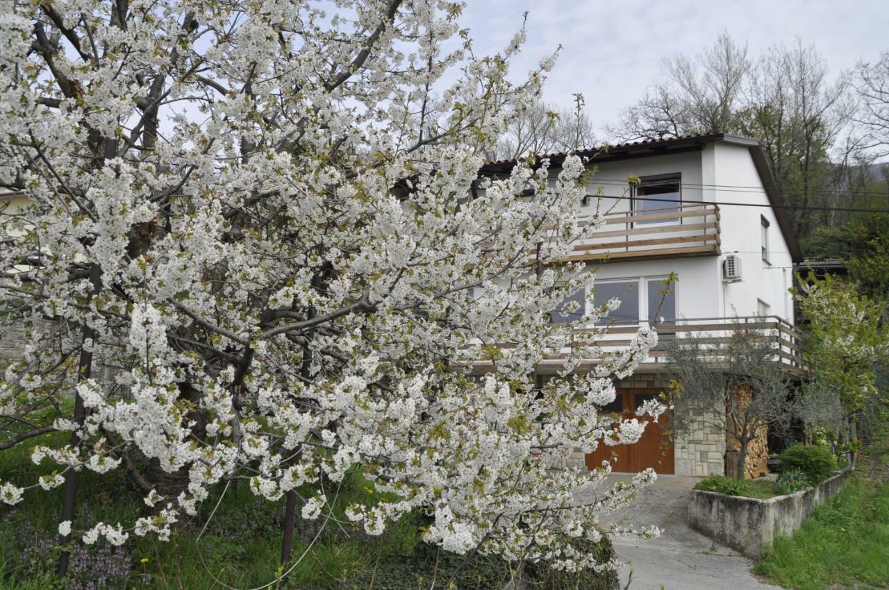 Apartma Bajci Ajdovscina Ngoại thất bức ảnh